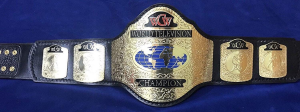 2b9ea8b6 2c06 4fa6 81aa E9bf3b3197a4jpeg — Wrestling Championships option 28