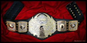 33b8ef25 2943 47c4 Ad7a Fe6778c50b6ajpeg — Wrestling Championships option 32