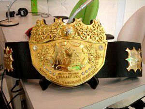 603f883d D579 440f 9545 79db86f56bc2jpeg — Wrestling Championships option 60