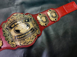 69b95c85 Cf89 4c45 9acd 9489134d8c9ajpeg — Wrestling Championships option 69