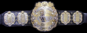 76eeeade 834f 4933 B223 66def33fc4a3jpeg — Wrestling Championships option 78