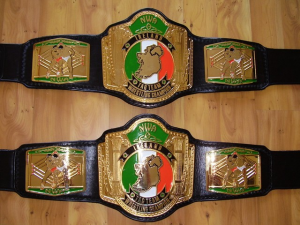 7e85283b 84e3 4ba3 8f91 D3b401e9a78ejpeg — Wrestling Championships option 85