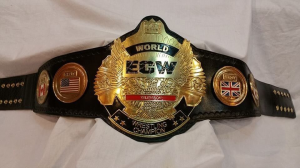 8bef5f9b 6b91 4e72 A8b7 Cb5c02d1d0bdjpeg — Wrestling Championships option 93