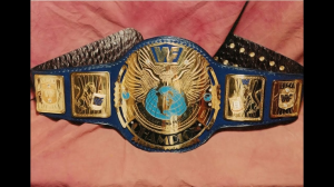 94c2691b Ddd0 4f01 Bd58 019f5b0d1277jpeg — Wrestling Championships option 95