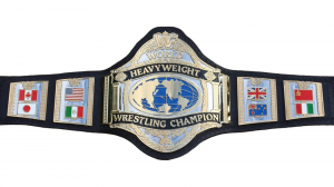 F223a0e6 80c6 4881 8fee 59171cbef017jpeg — Wrestling Championships option 156