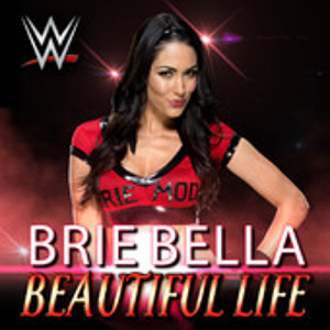Artworks 000090764164 O1yry8 T500x500jpg — WWE all divas theme songs (Raw,SmackDown,NXT) option 4