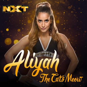Artworks 000217295872 Zyttqy T500x500jpg — WWE all divas theme songs (Raw,SmackDown,NXT) option 13