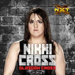 Artworks 000236139653 Bwf88q T500x500jpg — WWE all divas theme songs (Raw,SmackDown,NXT) option 14