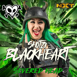 Artworks 42oabndgu2o9lm3t 1dex8g T500x500jpg — WWE all divas theme songs (Raw,SmackDown,NXT) option 27
