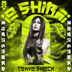 Artworks Tffkojfggwfbryzr Gskqbw T500x500jpg — WWE all divas theme songs (Raw,SmackDown,NXT) option 37