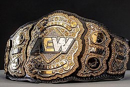 260px Aewworldtitlejpg — WWE and Aew titles option 1