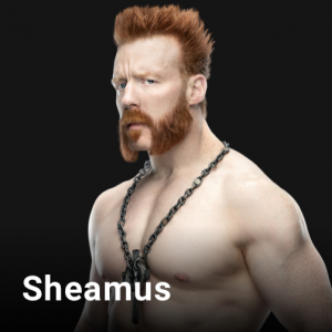 4fffa881 Fe2e 454a 9c75 F1ef1412a871jpeg — WWE, NXT & AEW Wrestlers option 80