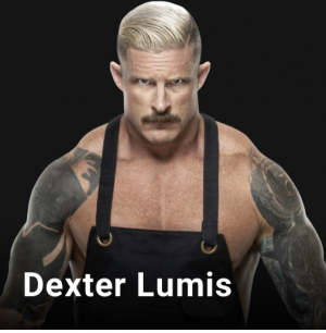 7a0fc37d 2d20 4761 921a 5b26f46925d8jpeg — WWE, NXT & AEW Wrestlers option 120
