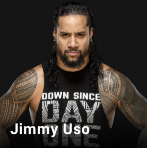 8453edb9 26fb 42fd A3d1 B4ed24fb2e98jpeg — WWE, NXT & AEW Wrestlers option 136