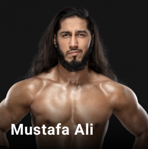 B13aa7a8 D84f 497e 825f 89ddebe4c2fajpeg — WWE, NXT & AEW Wrestlers option 180