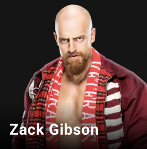 Bfb1129a 2494 4579 B5b9 24d401d6af7djpeg — WWE, NXT & AEW Wrestlers option 195
