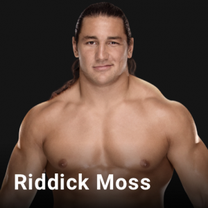D2c22441 Dcb6 4aa9 B251 Fb7add567023jpeg — WWE, NXT & AEW Wrestlers option 210