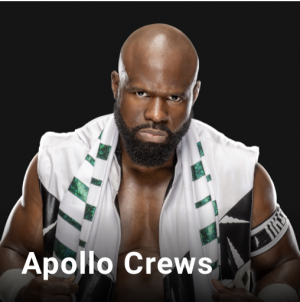 D9a2239f 7c05 479b 8362 69bcf1cab509jpeg — WWE, NXT & AEW Wrestlers option 217