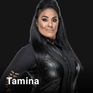 Eb7fa43e 24cf 4f41 9d36 B9f27d52a5aajpeg — WWE, NXT & AEW Wrestlers option 232
