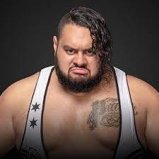 Bronson Reedjpg — WWE NXT Roster 2020 option 7