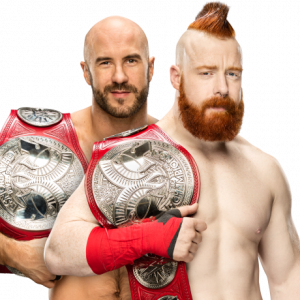 Cc46acad 0eba 4a9d Bb57 A1cda467e94bpng — WWE teams option 21