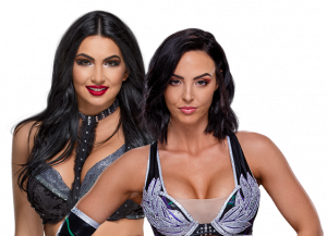 E85ddfac C467 4159 B2ed 3c5ed5cd118cpng — WWE teams option 27