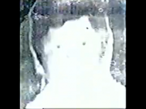 Snapshot201png — XHGC Canal 5 Al Servicio de la Comunidad (2000-2007) option 40