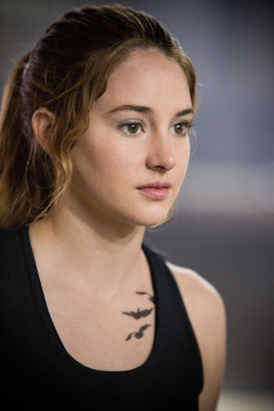 1194508076619082777943177098745975657101889njpg — YA Dystopian Characters option 47