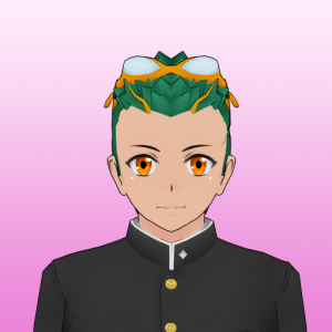 Student68png — Yan Sim option 65