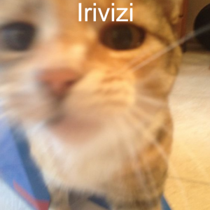 Screenshot 2022 05 21 205201png — Your Bizzare Adventure Active Perms Tier List option 40