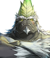 Master Kongjpg — Ys VIII: Lacrimosa of Dana Character Rankings option 24