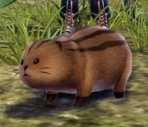 Pikkardjpg — Ys VIII: Lacrimosa of Dana Character Rankings option 32