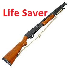 1 Shotgunjfif — Zombie Survival Kit option 9