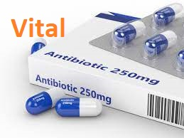 2 Antijfif — Zombie Survival Kit option 12