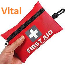 2 First Aidjfif — Zombie Survival Kit option 16