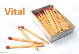 2 Matchesjfif — Zombie Survival Kit option 19