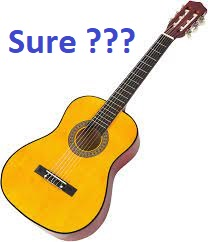 Guitarjfif — Zombie Survival Kit option 48