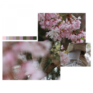 A369153953516jpg — Zoomer / 5th Wave Emo option 45