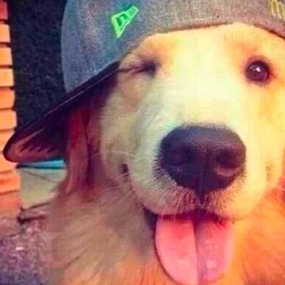 Create a Best Marvel Rival Characters Tier List - TierMaker