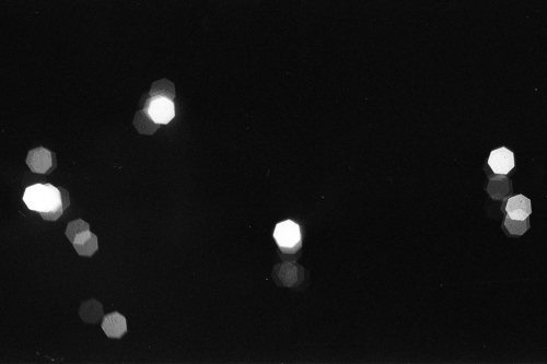 Create a Sam Ray Discography (well, the teen suicide / etc. half) Tier ...