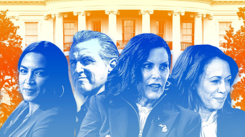 PRESIDENTIAL CANDIDATES 2028 LIST visual data 6