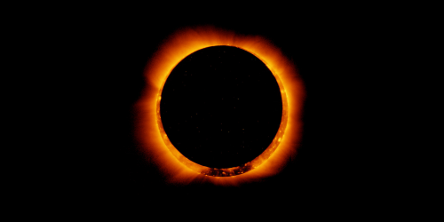 Sunless Mist - Full Token Roster Tier List (Community Rankings) - TierMaker