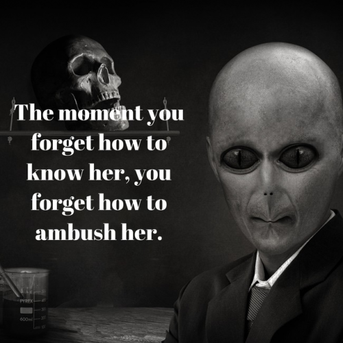 Create a pass, fail, or 50/50 for subjects Tier List - TierMaker