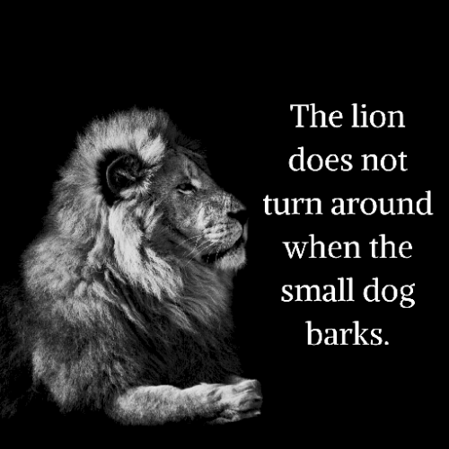 Create a Club Penguin Tier List TierMaker