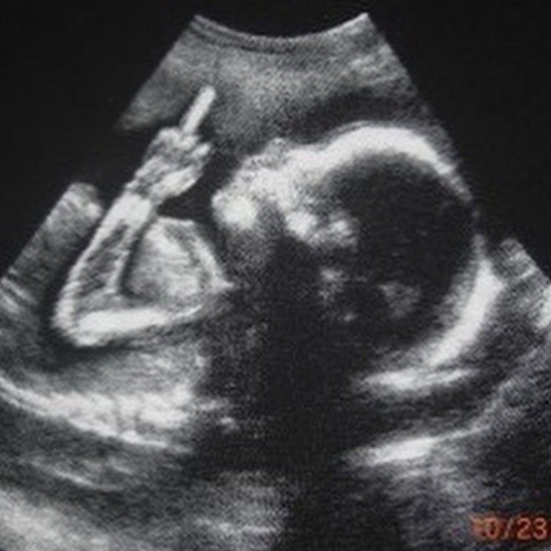 Create a swat characters Tier List - TierMaker