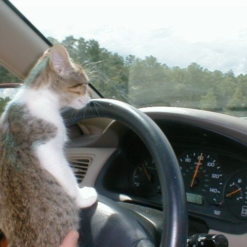 Create A Ultimate Rapper ёятаёятаёяшэёяшнёясеёята Tier List Tiermaker