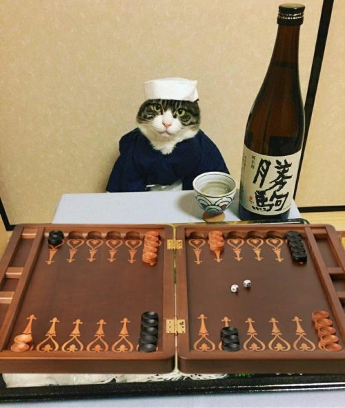 Create a OPStraw Hat Chase UR Tier List TierMaker