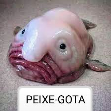 Create a The weirdest and most exotic Animals in the world Tier List ...