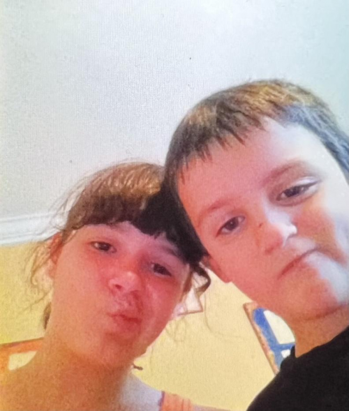 Create a DSV Fans vs Favorites Tier List TierMaker