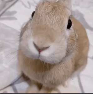 Roblox Glitch Youtubers Ranked (Glitching Knowledge) Tier List ...